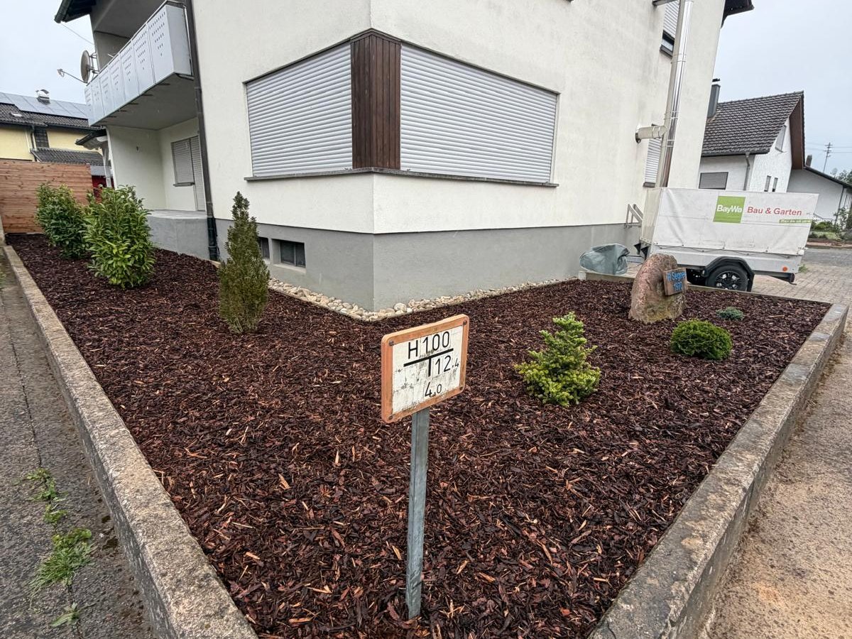 Hecke fachgerecht geschnitten nach der Pflege durch Gartenpflege Buzhala