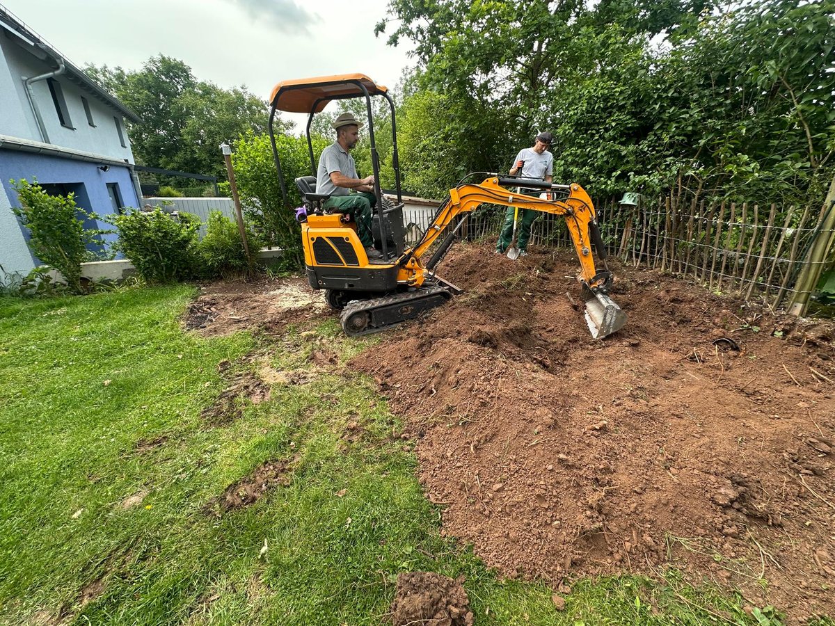 Überwucherter Rasen vor der Rasenpflege durch Gartenpflege Buzhala
