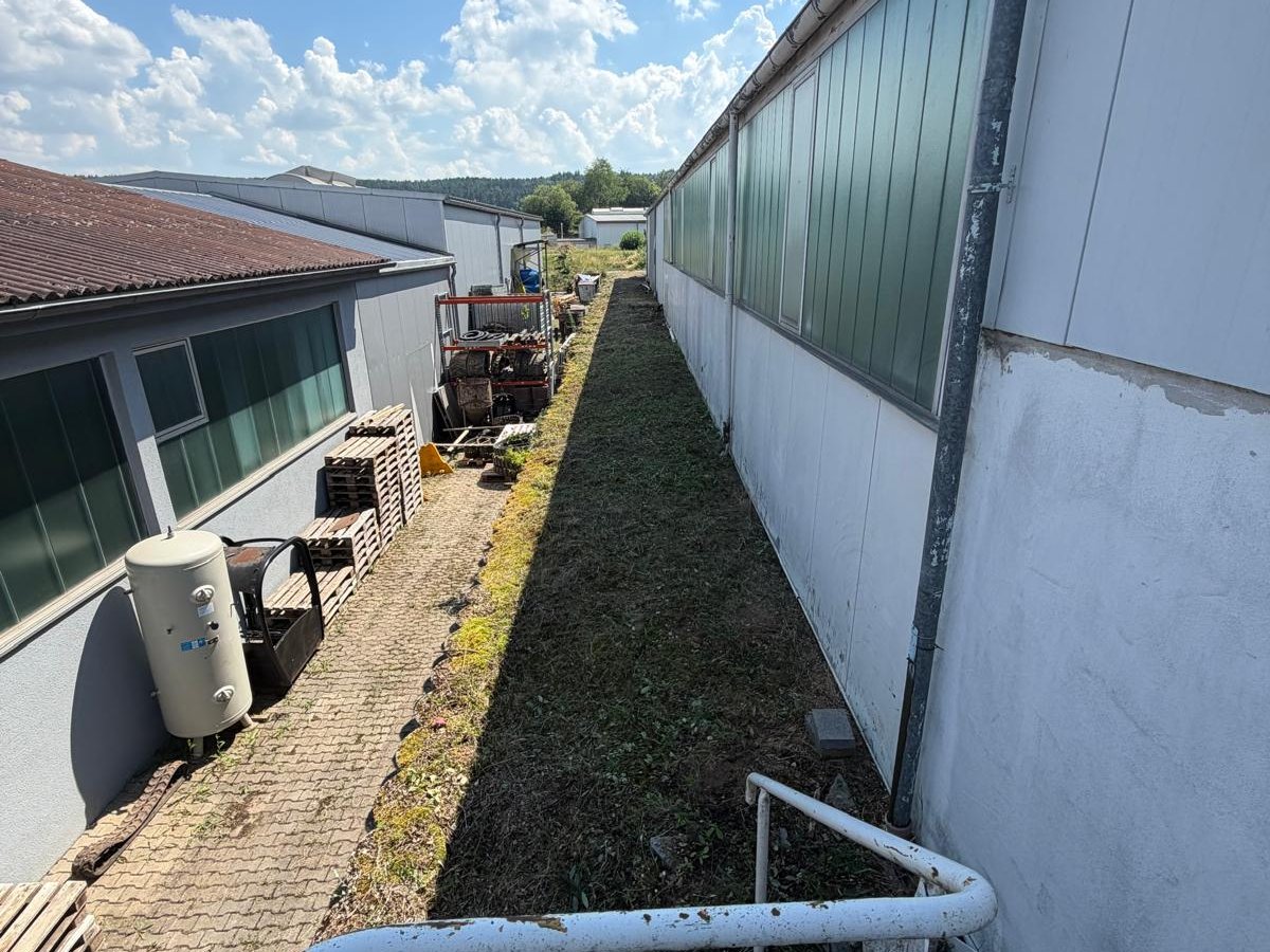 Gepflegtes Grundstück nach Grundstückspflege durch Gartenpflege Buzhala