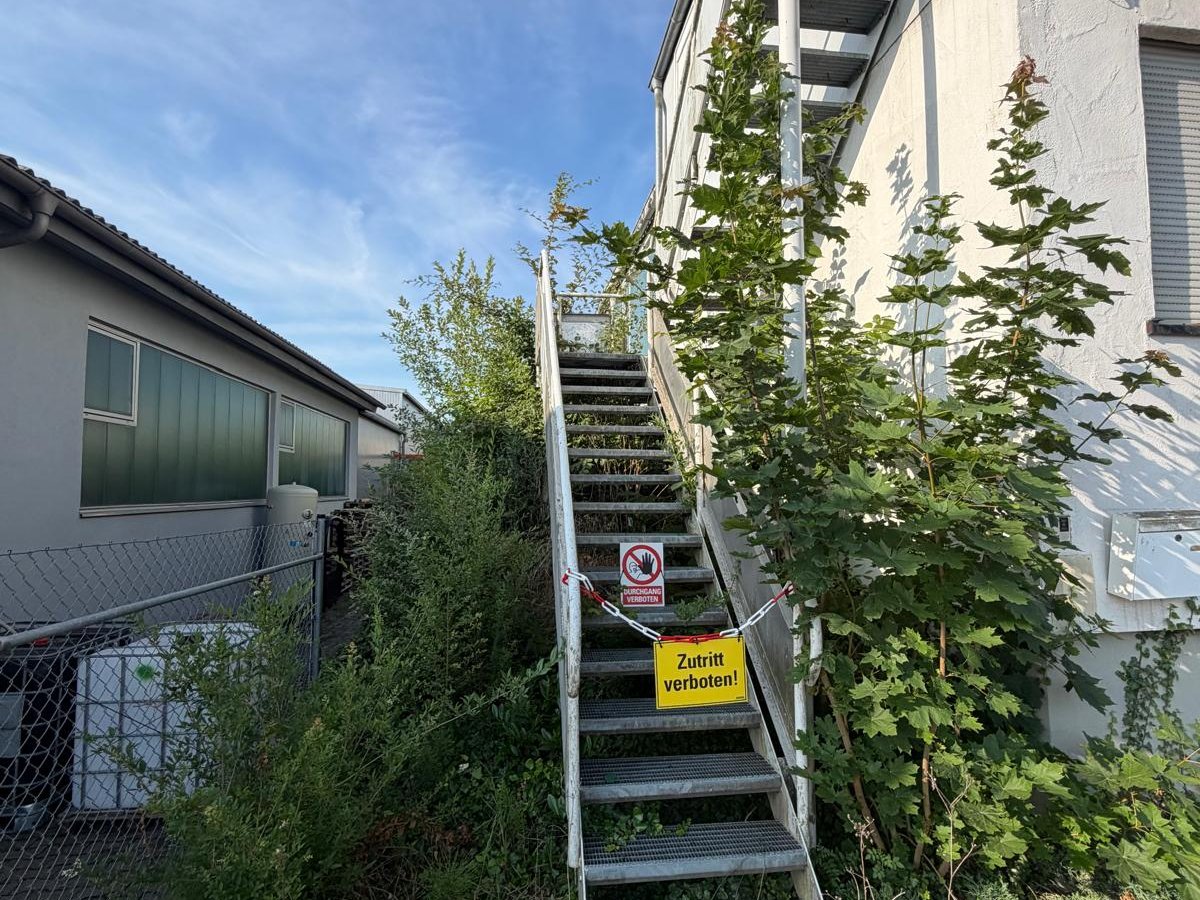 Überwucherte Beete vor der Beetpflege – Gartenpflege Külsheim-Hundheim